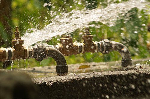Where to Find Water Leaks