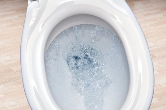 The Hidden Dangers of Ignoring a Clogged Toilet