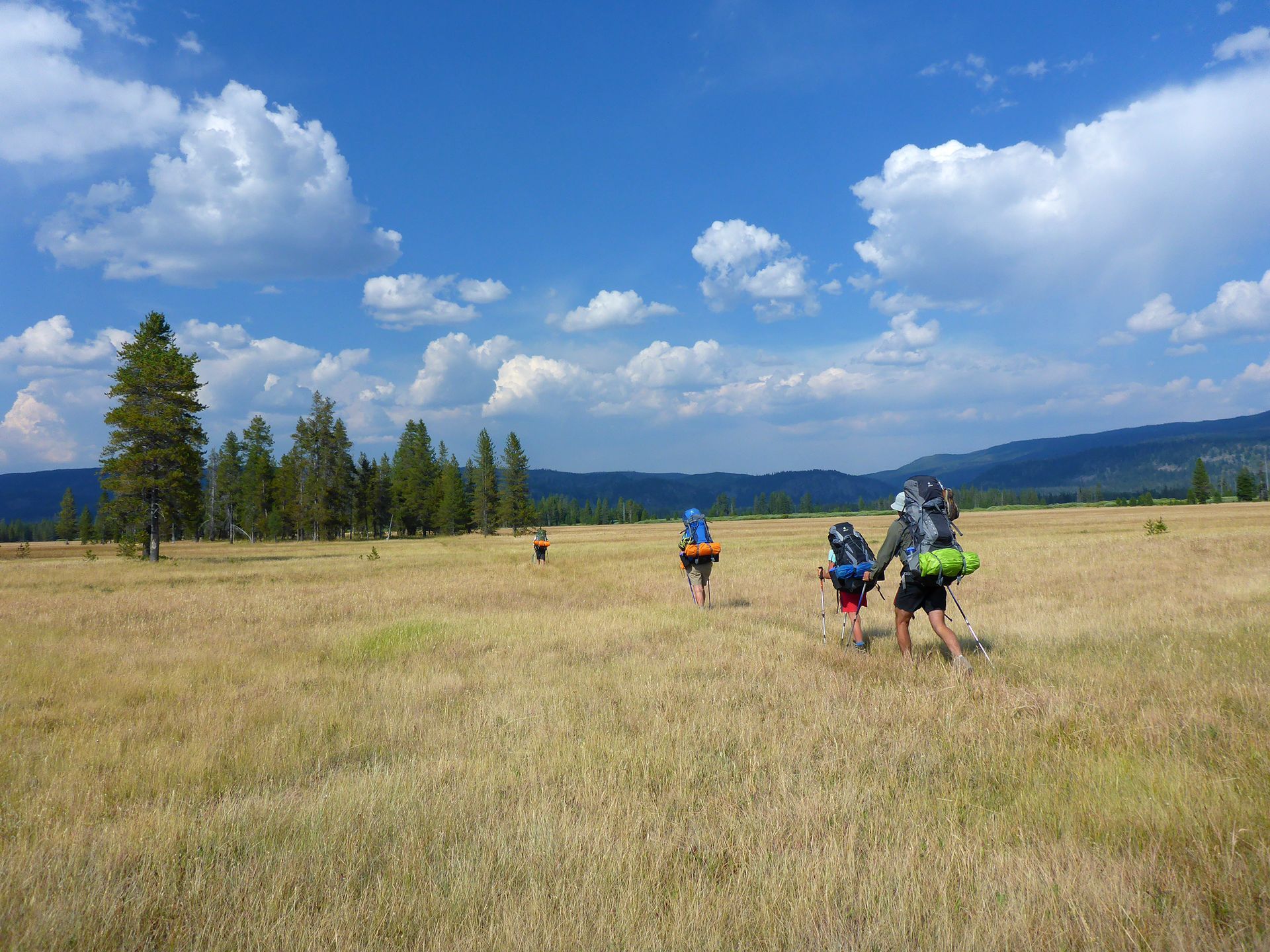 A group of backpackers traverse the wide open spaces of the Bechler Meadows in Southwest Yellowstone.