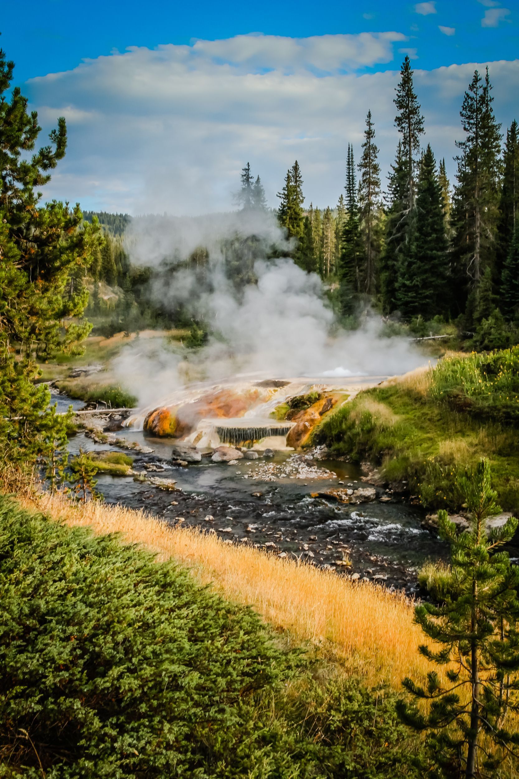 Steam and hot water bubble from the colorful hot springs that flank the Ferris Fork River in Yellowstone National Park.