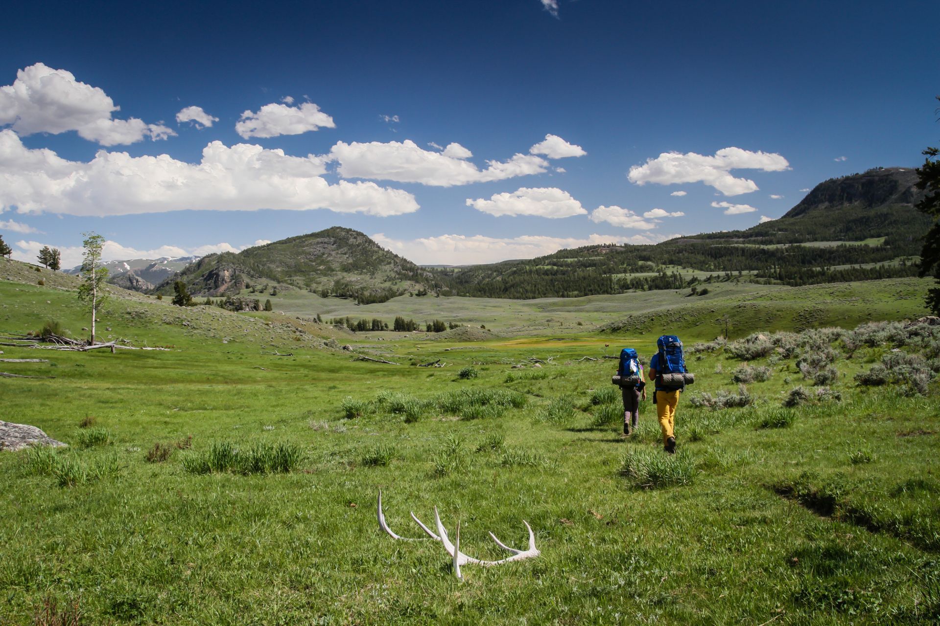 Backpackers traverse lush meadows as they descend toward a backcountry campsite beside Hellroaring Creek.