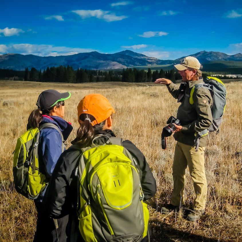 Yellowstone Custom Guided Day Hiking Trips