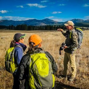 Hikers in Yellowstone's Hayden Valley are given a brief overview of the area during their guided day hike.