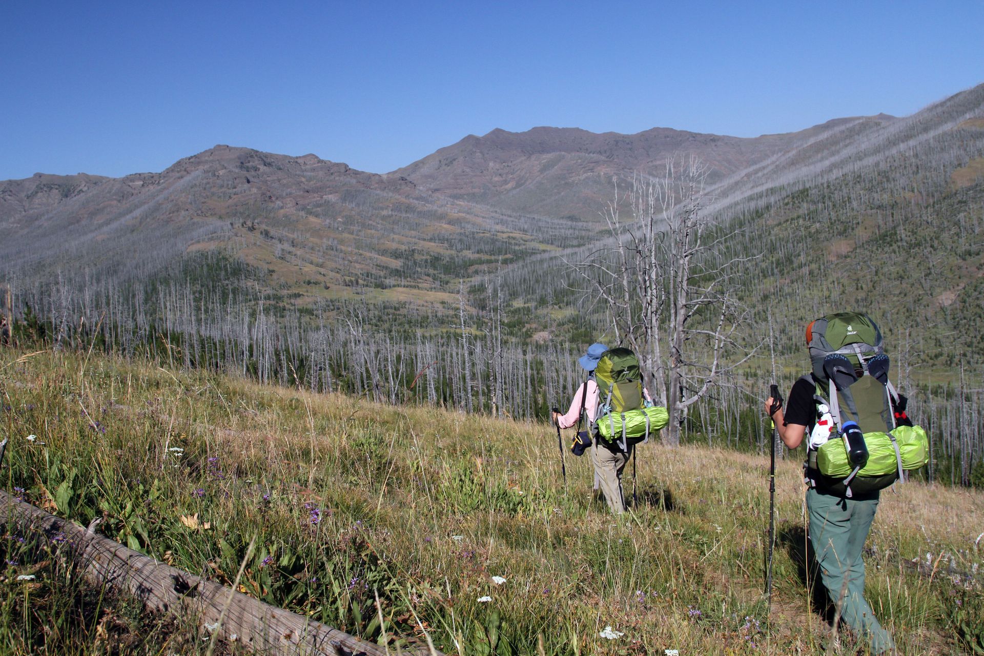 From the top of Republic Pass the surrounding peaks draw hikers along their narrow ridges.