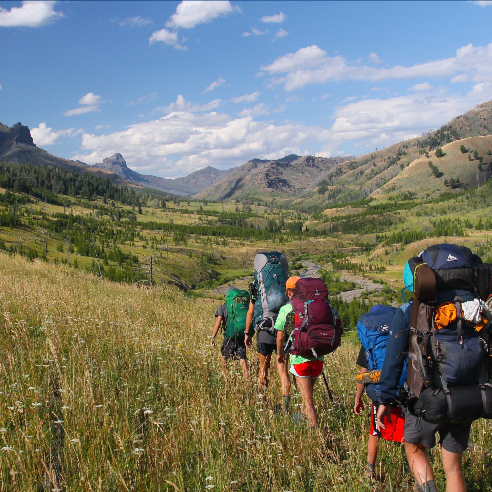 Amphitheater Mountain and the rugged peaks of the Absaroka Range dot the horizon along the north end of the Cache Creek Trail in Yellowstone National Park.