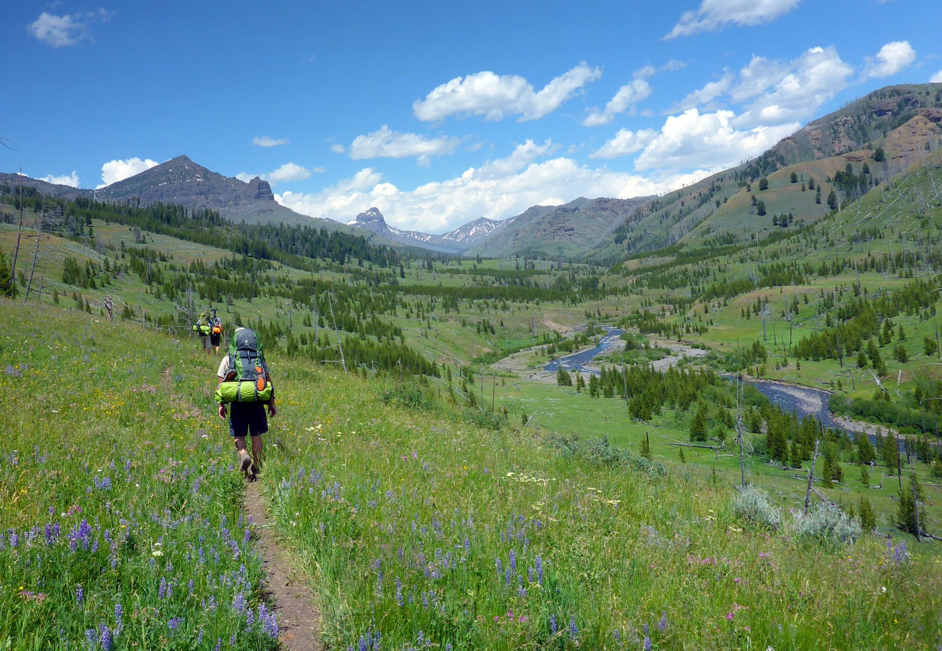 Wilderness camping along the Cache Creek Trail in Yellowstone.