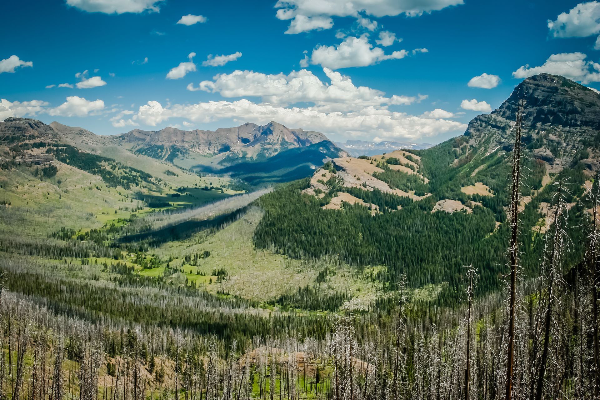 Descending into Pebble Creek from the top of Bliss Pass provides spectacular views of the rugged mountain ranges of northeastern Yellowstone.