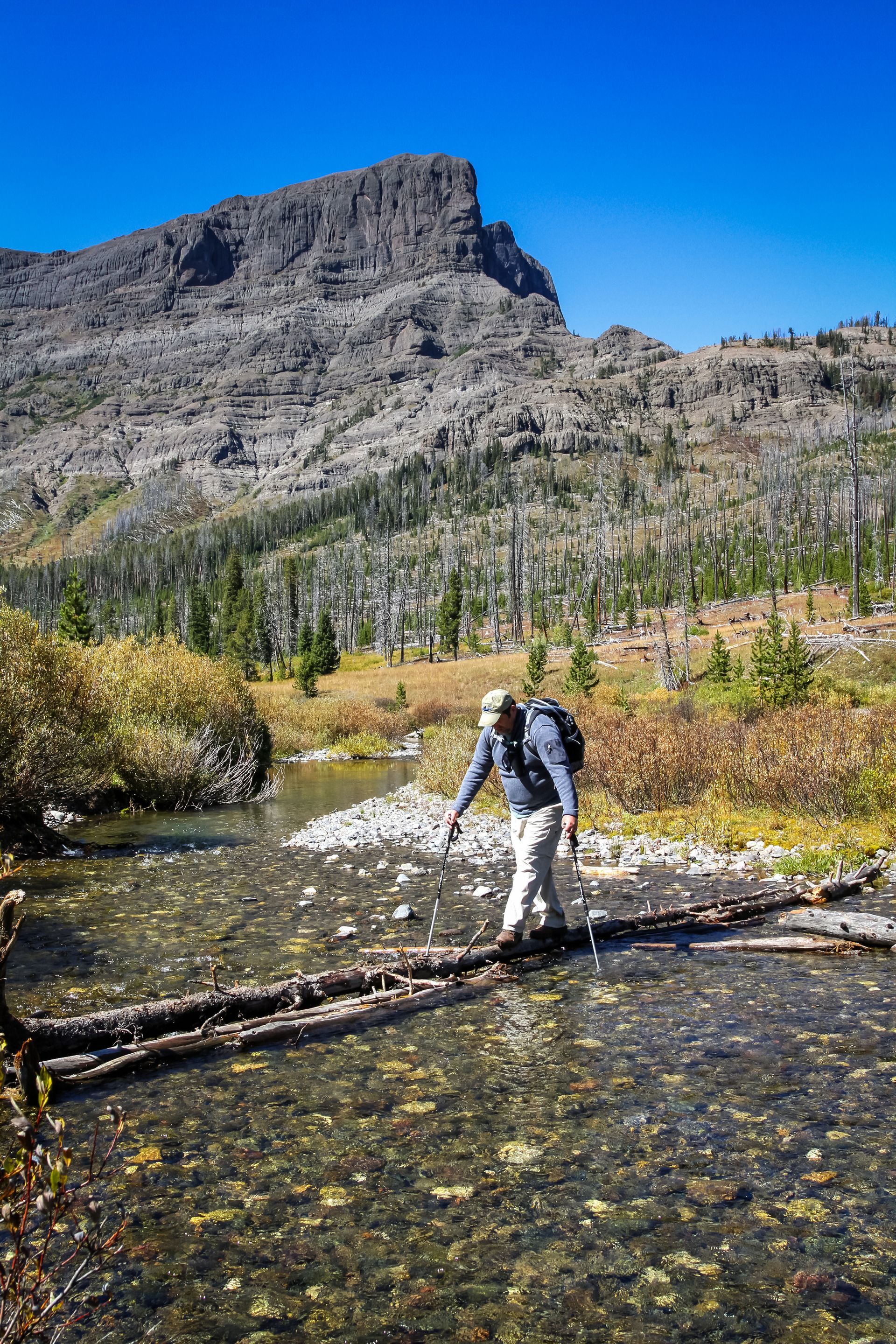A day hiker negotiates a pair of narrow logs that span the width of Pebble Creek.