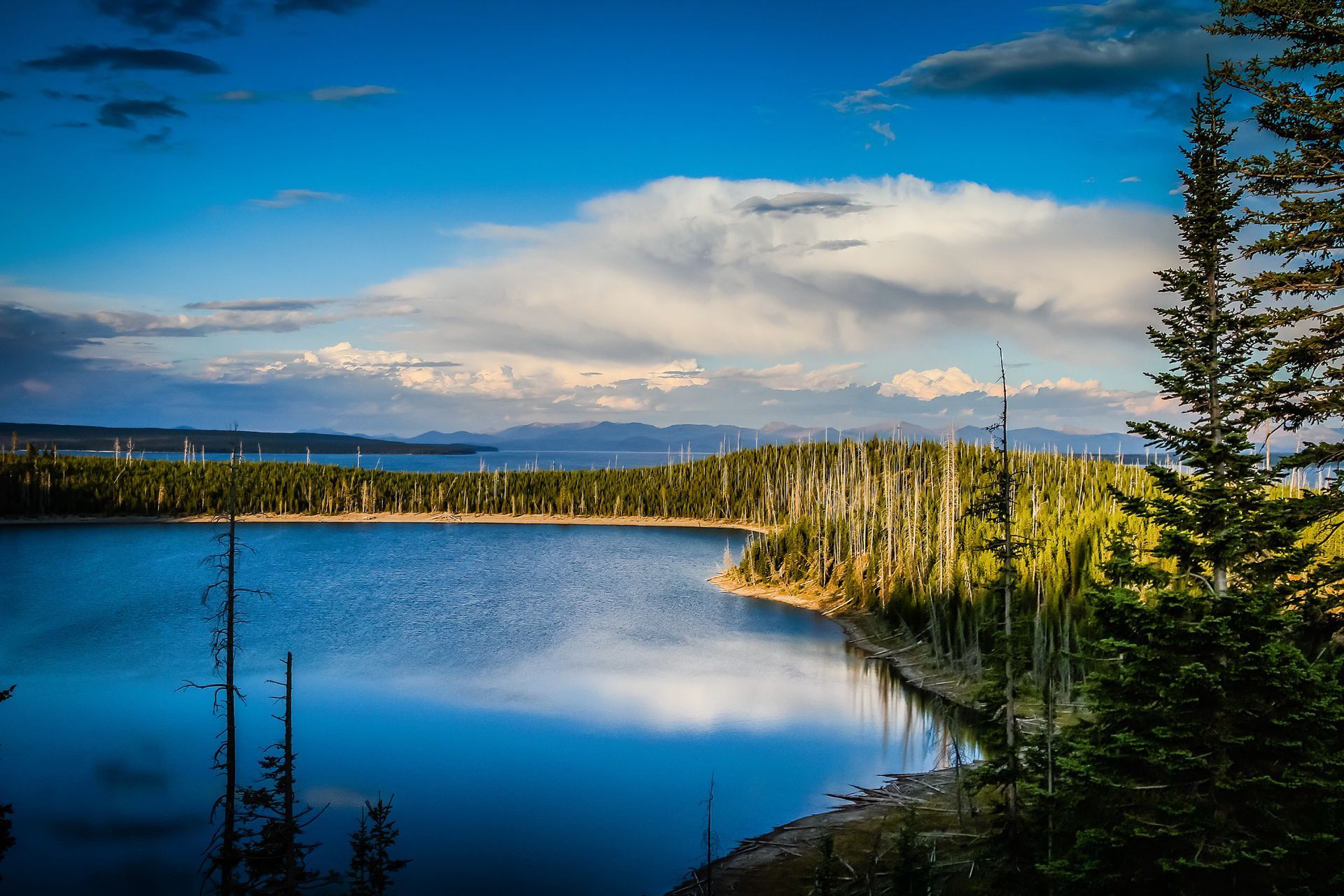 Golden light tints the treetops surrounding the beautiful waters of Duck Lake in Yellowstone National Park.