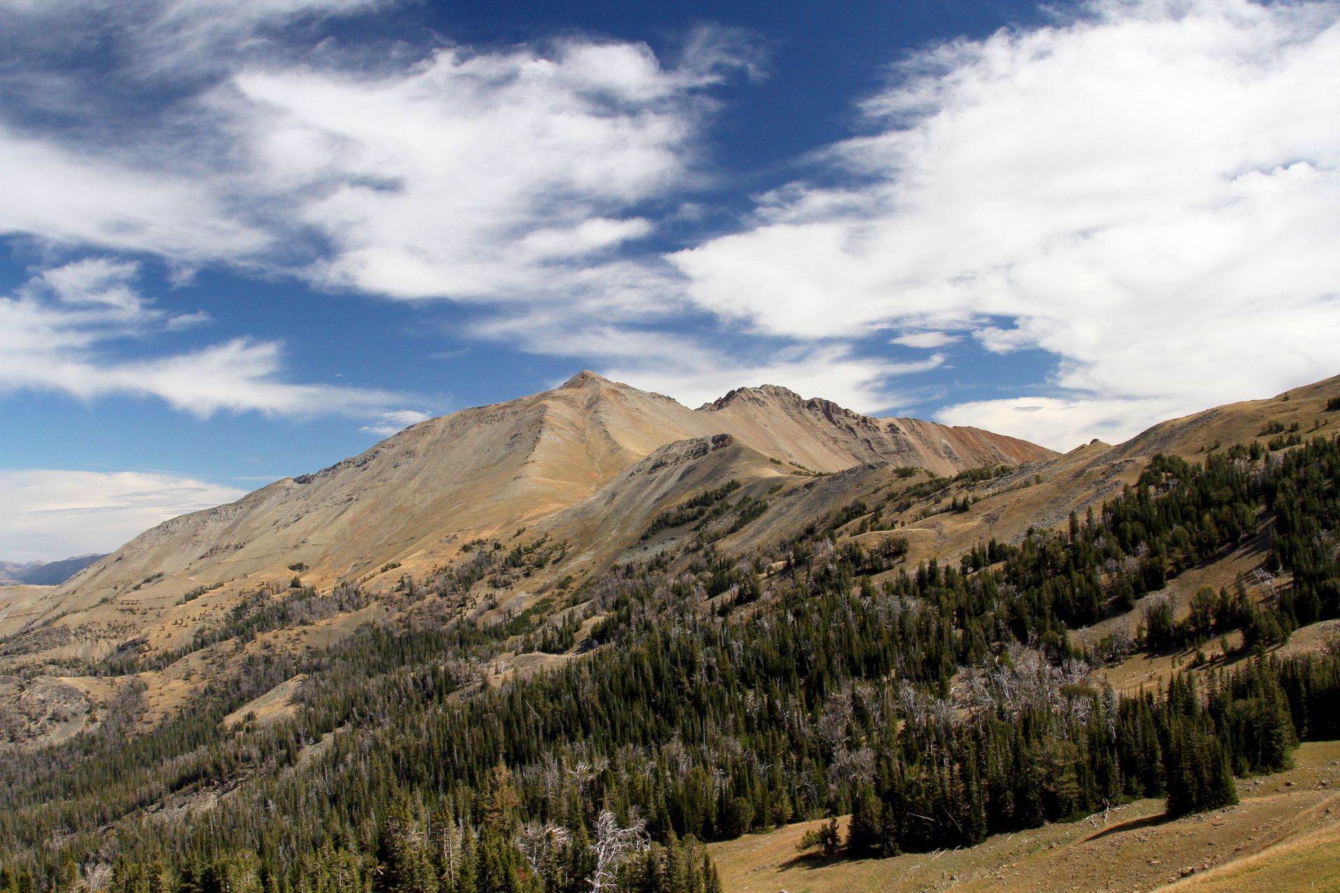 From Electric Pass backpackers are treated to a stunning view of Electric Peak which rises to nearly 11,000 ft.