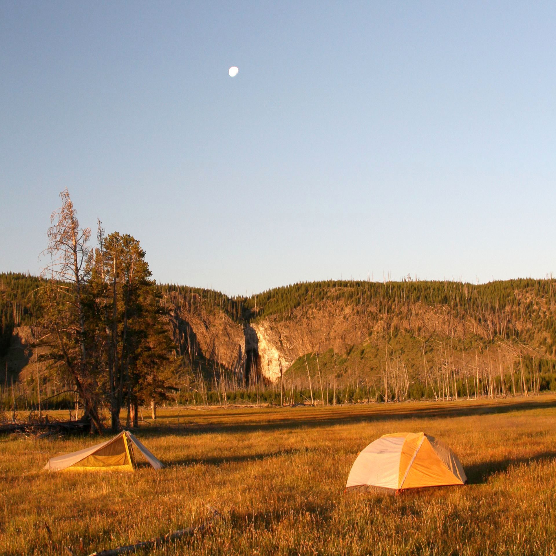 The early morning sun fills a backcountry campsite with soft golden light as the moon rises over Fairy Falls.