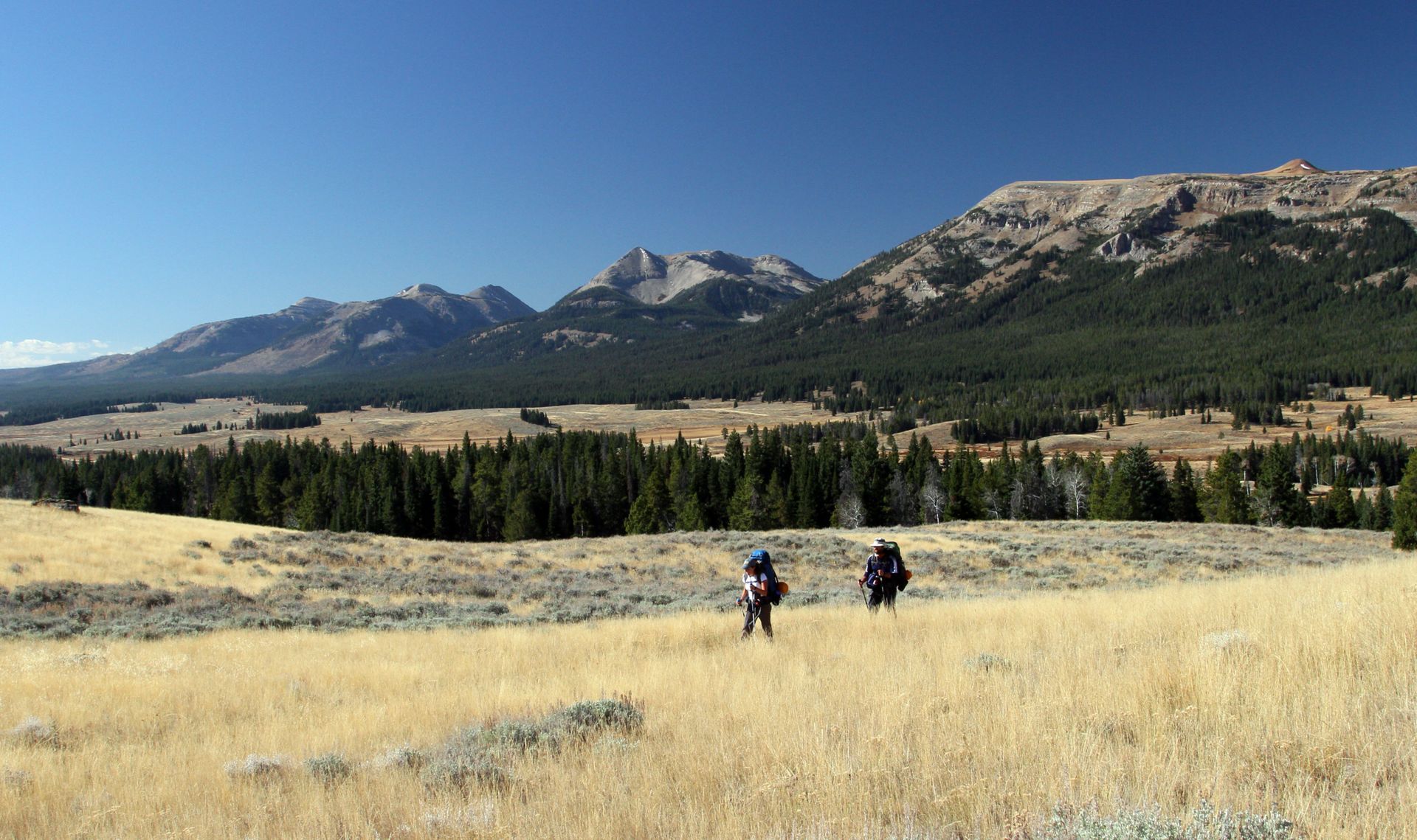Backpackers traverse the eastern flanks of the Gallatin Range in Yellowstone National Park.