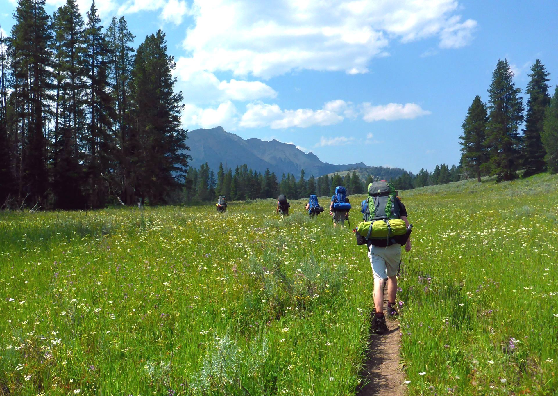 Backpackers navigate the beautiful open meadows on the approach to Electric Peak.