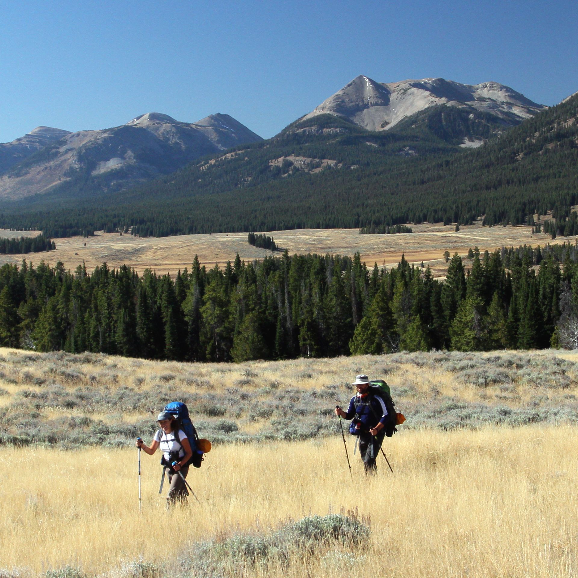 A group of backpackers pose for a photo on the summit of Bighorn Peak in Yellowstone