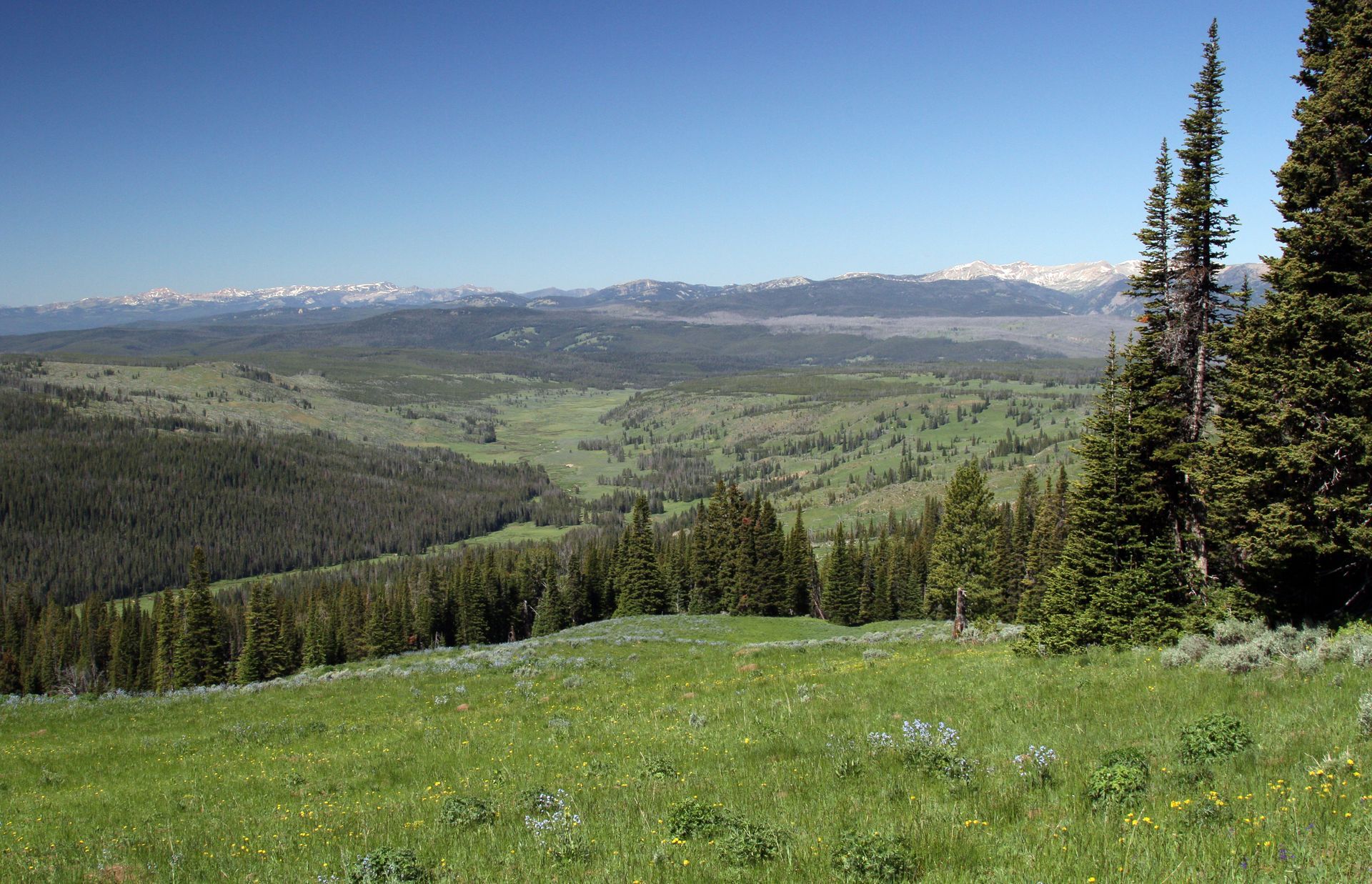 From the Fawn Pass Trail the Gallatin River meanders quietly through the lush valleys along the northwest edge of Yellowstone National Park.