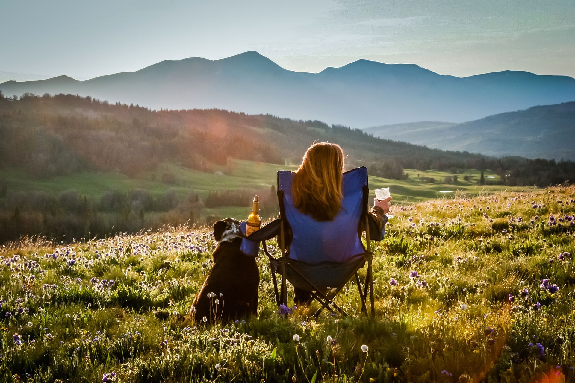 The rolling hills of the Gravelly Range  are filled with endless fields of wildflowers during the short summer months.