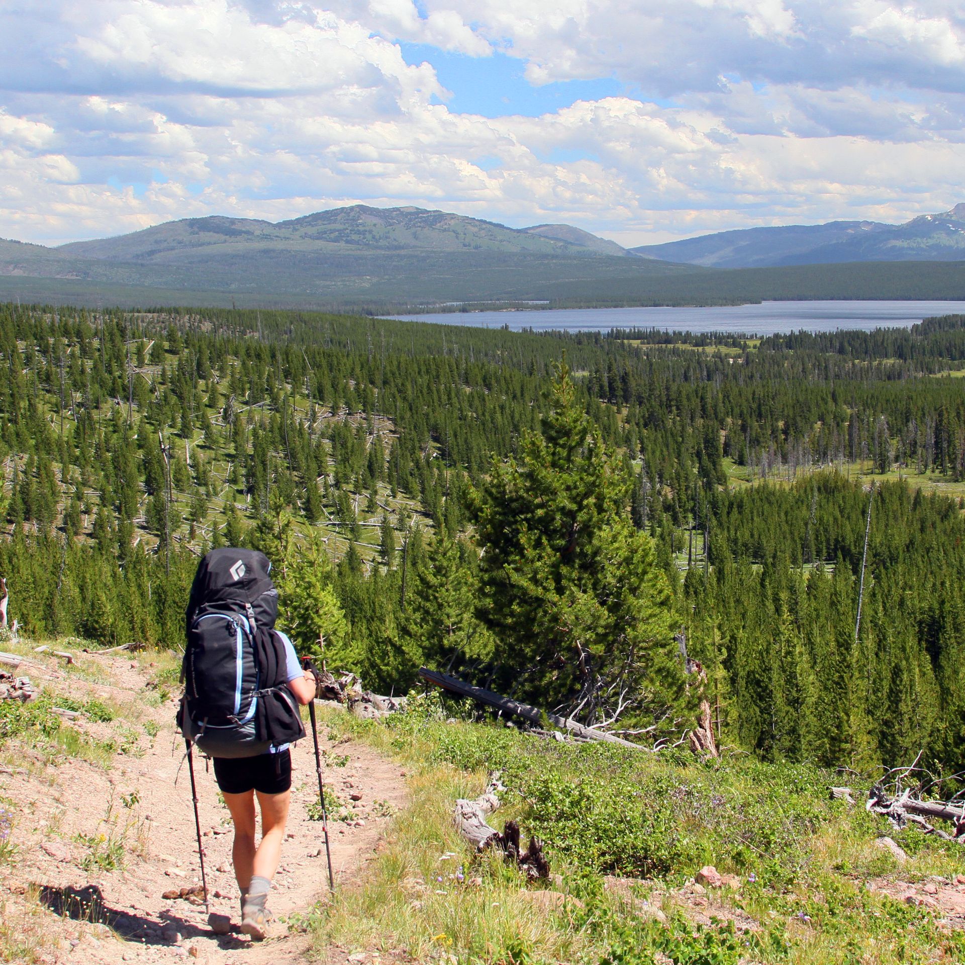 Backpackers make their way to a remote backcountry campsite beside Heart Lake in south central Yellowstone. 