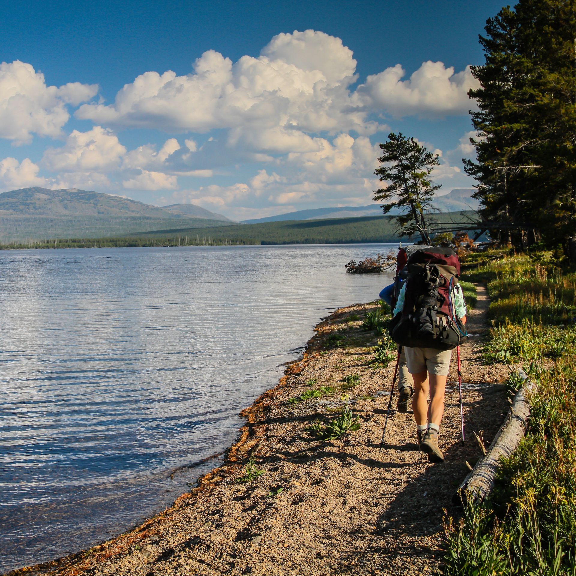 A group of backpackers hike the shoreline beside Heart Lake in Yellowstone