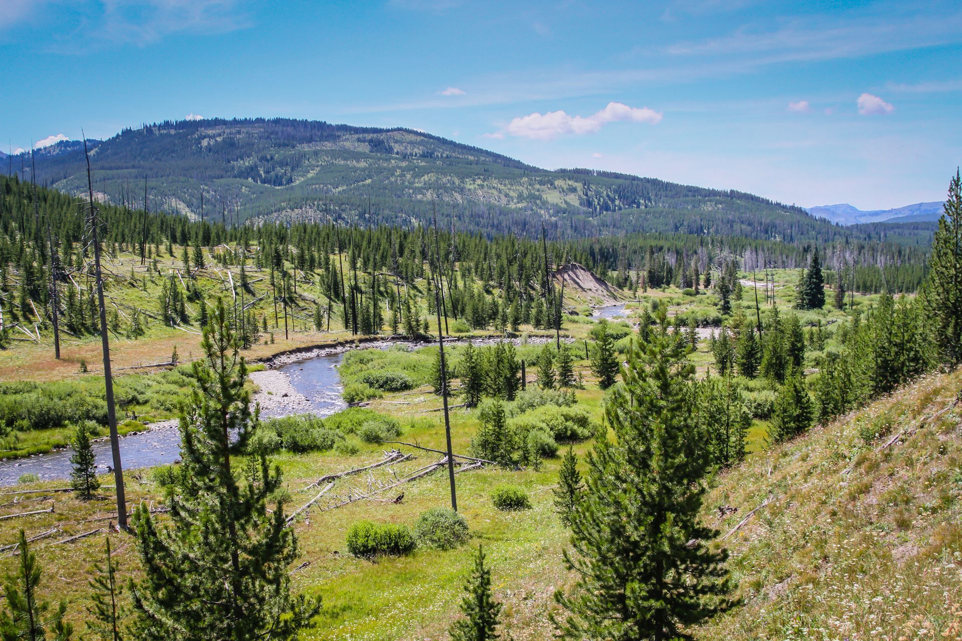 The Heart River meanders through the Yellowstone backcountry on its journey to the confluence of the Snake River.