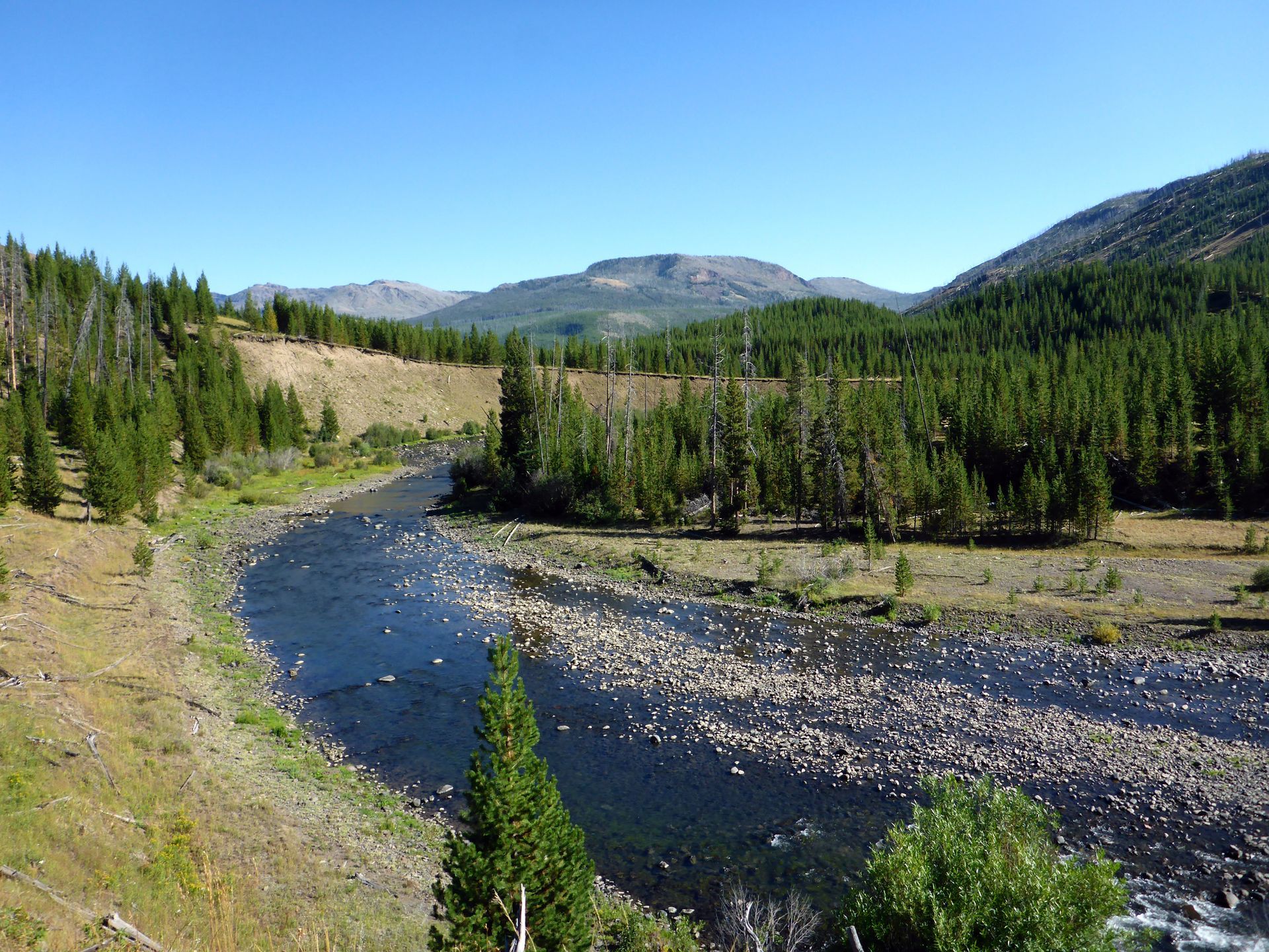 The Lamar River makes a wide sweeping arc on its journey toward the Lamar Valley and the Northern Range.