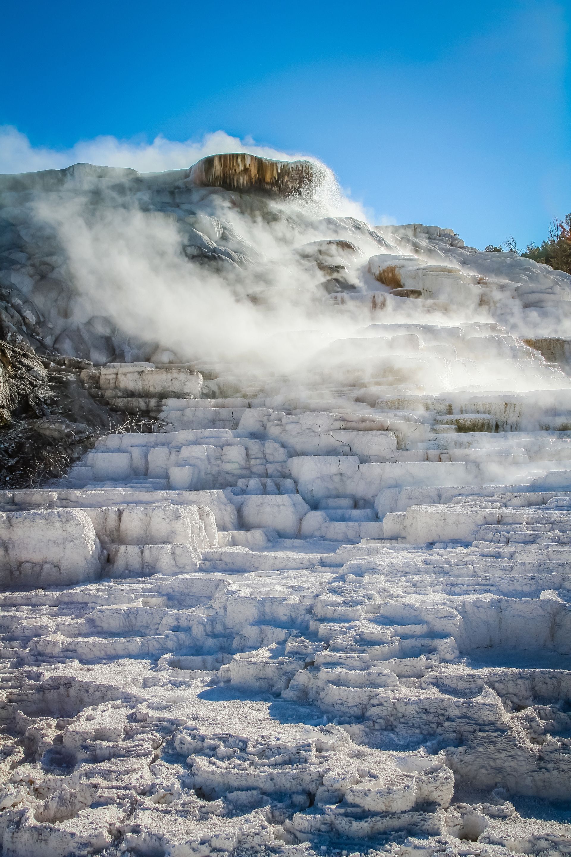 Water and steam descend the brilliant white limestone terraces at Mammoth Hot Springs.