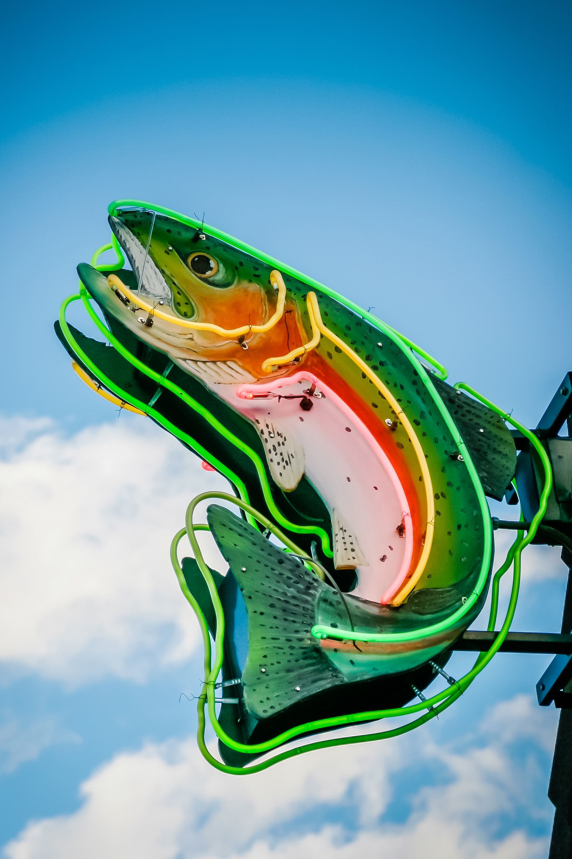 A brightly colored neon sign in the shape of a trout.