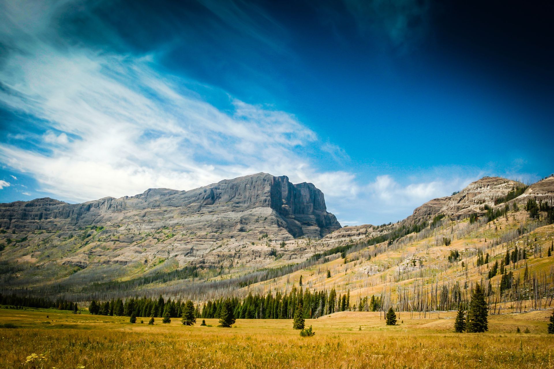 The Pebble Creek Trail is located in the very rugged northeastern corner of Yellowstone and straddles both the Wyoming and Montana borders.