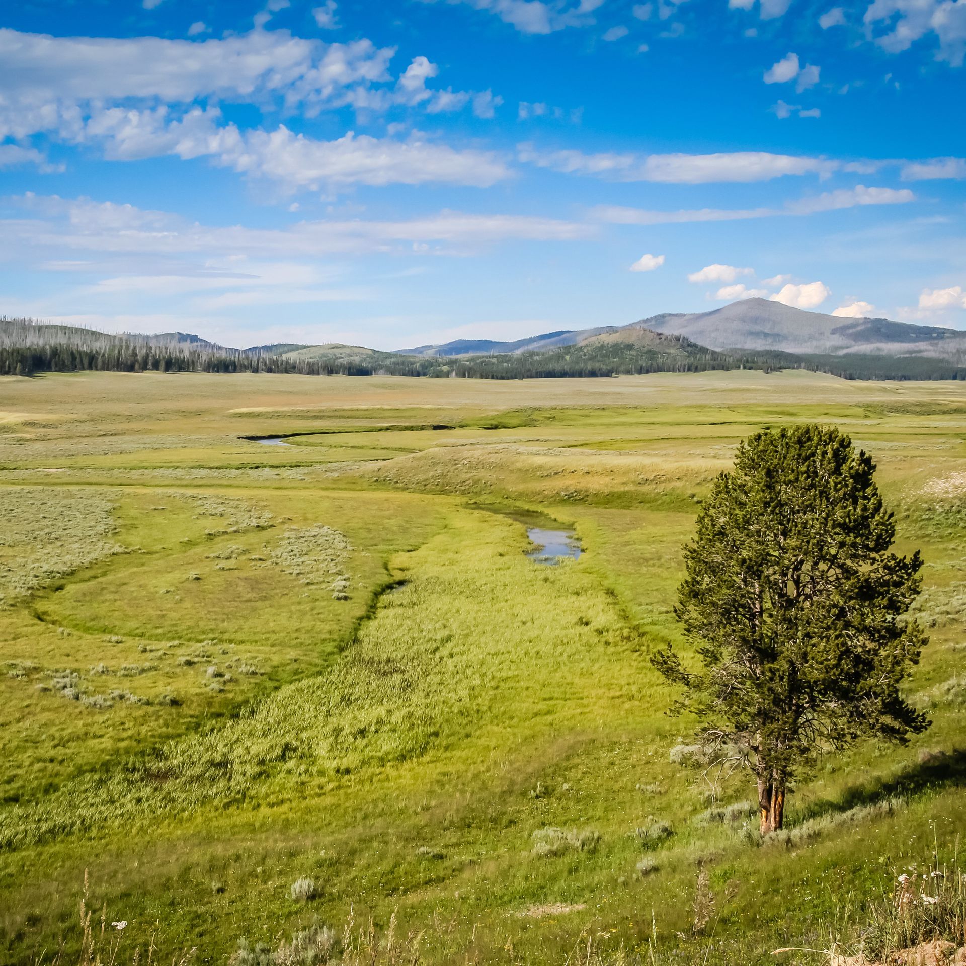 A family backpacking the Cache Creek Trail in Yellowstone