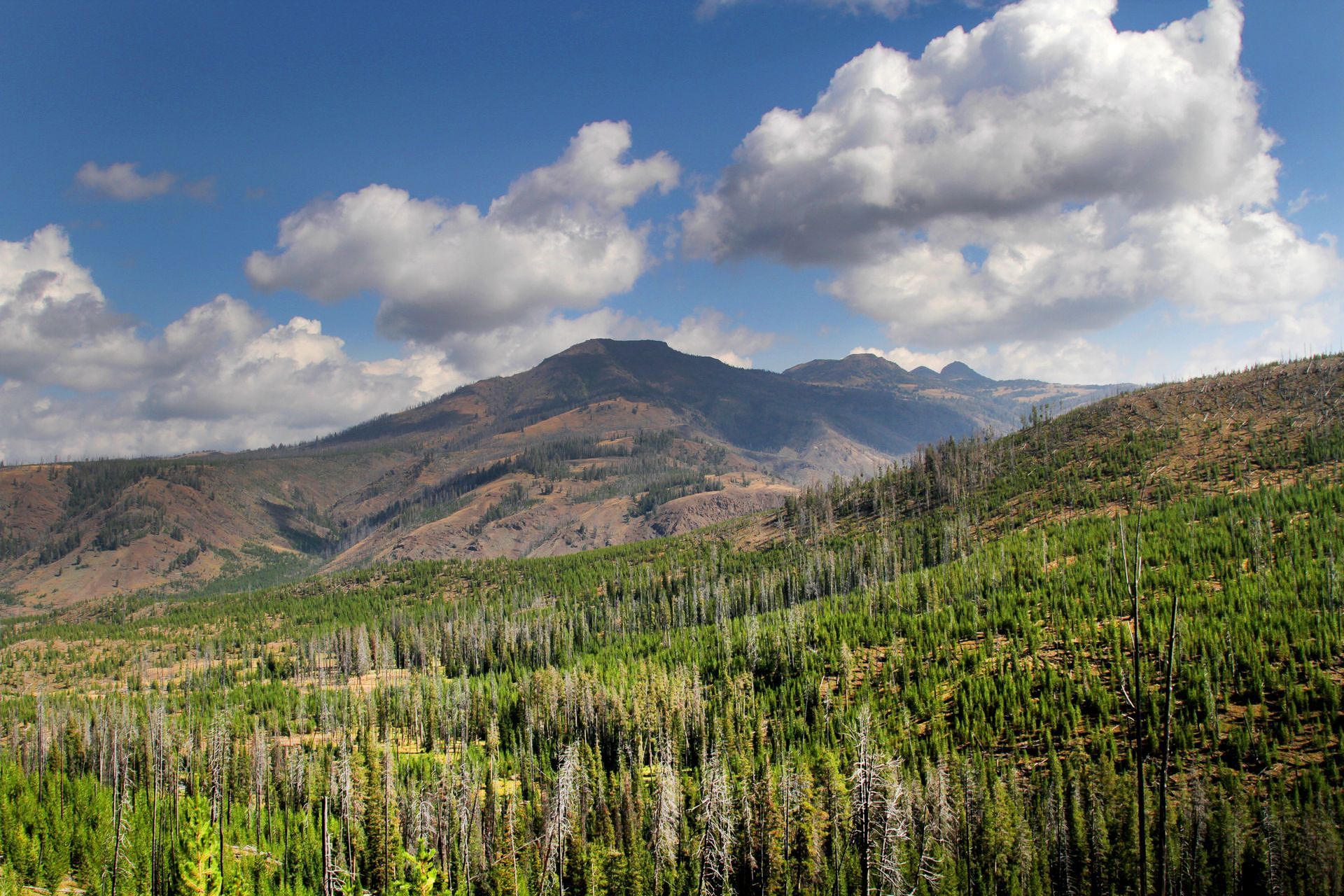 Descending toward the Lamar River drainage backpackers are treated to panoramic views of the remote northeast corner of Yellowstone.