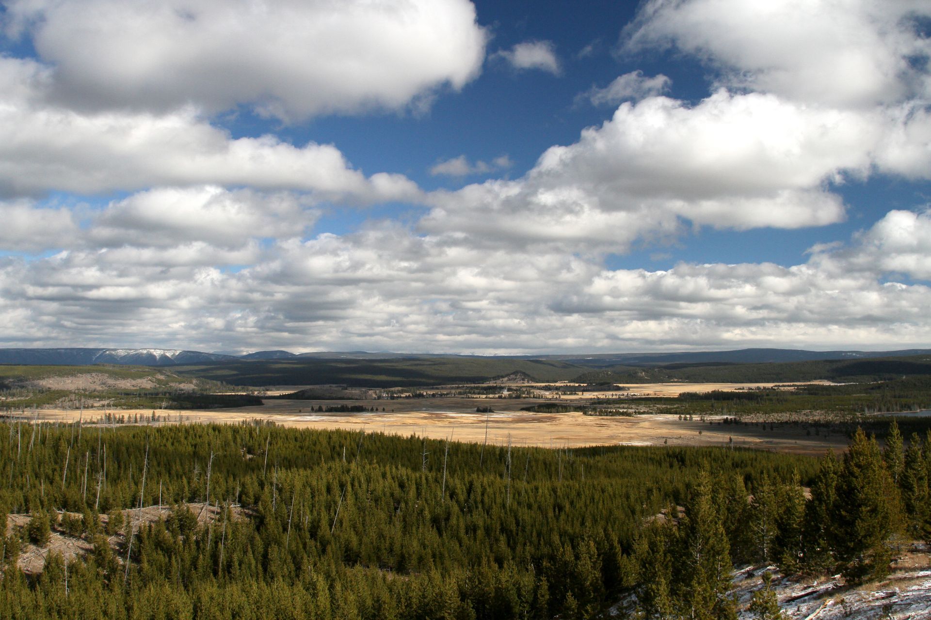 Lower Geyser Basin in Yellowstone Looking across the Lower Geyser Basin from the summit of Twin Buttes.