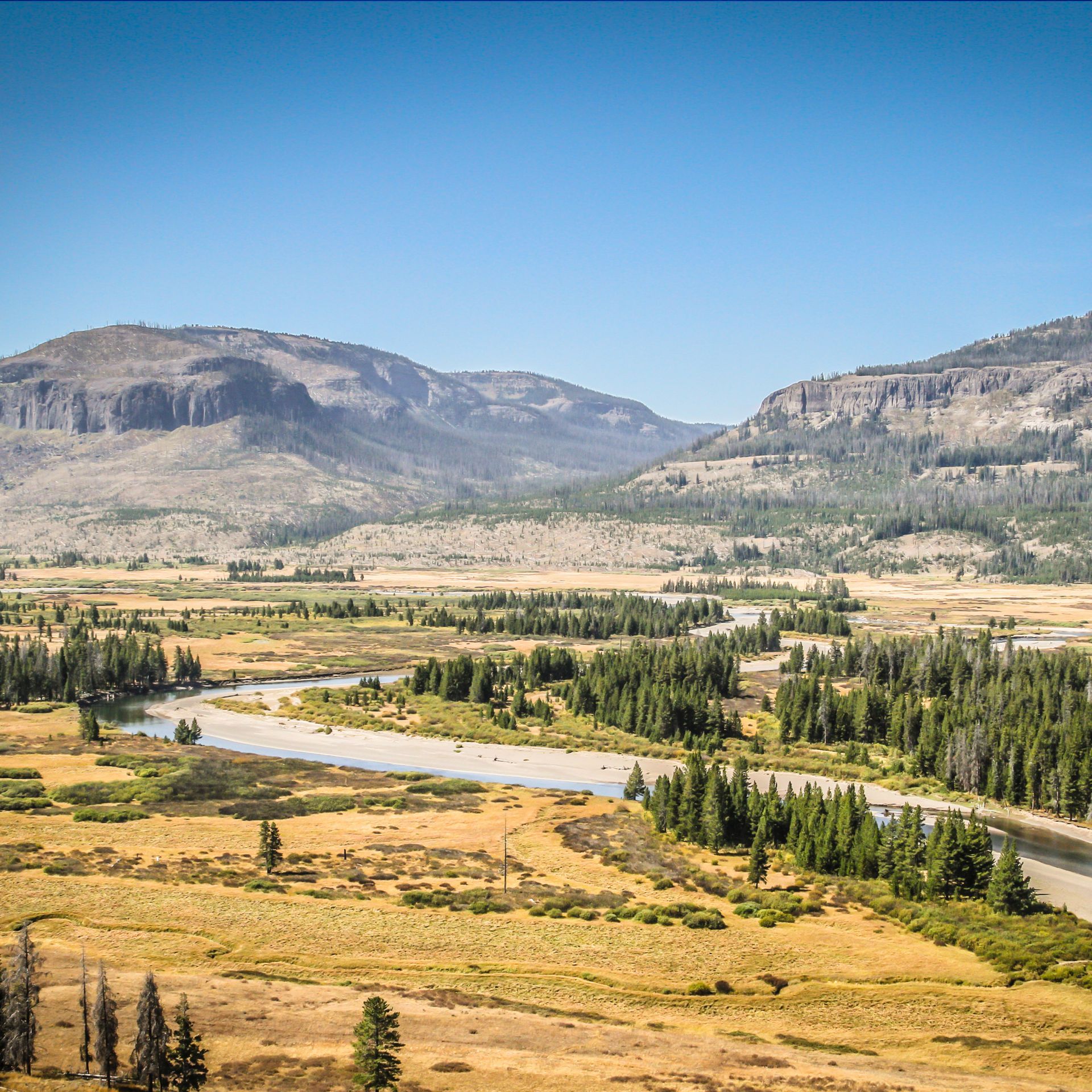 The Yellowstone River is dwarfed by the immense valley of the Thorofare Region in Yellowstone.