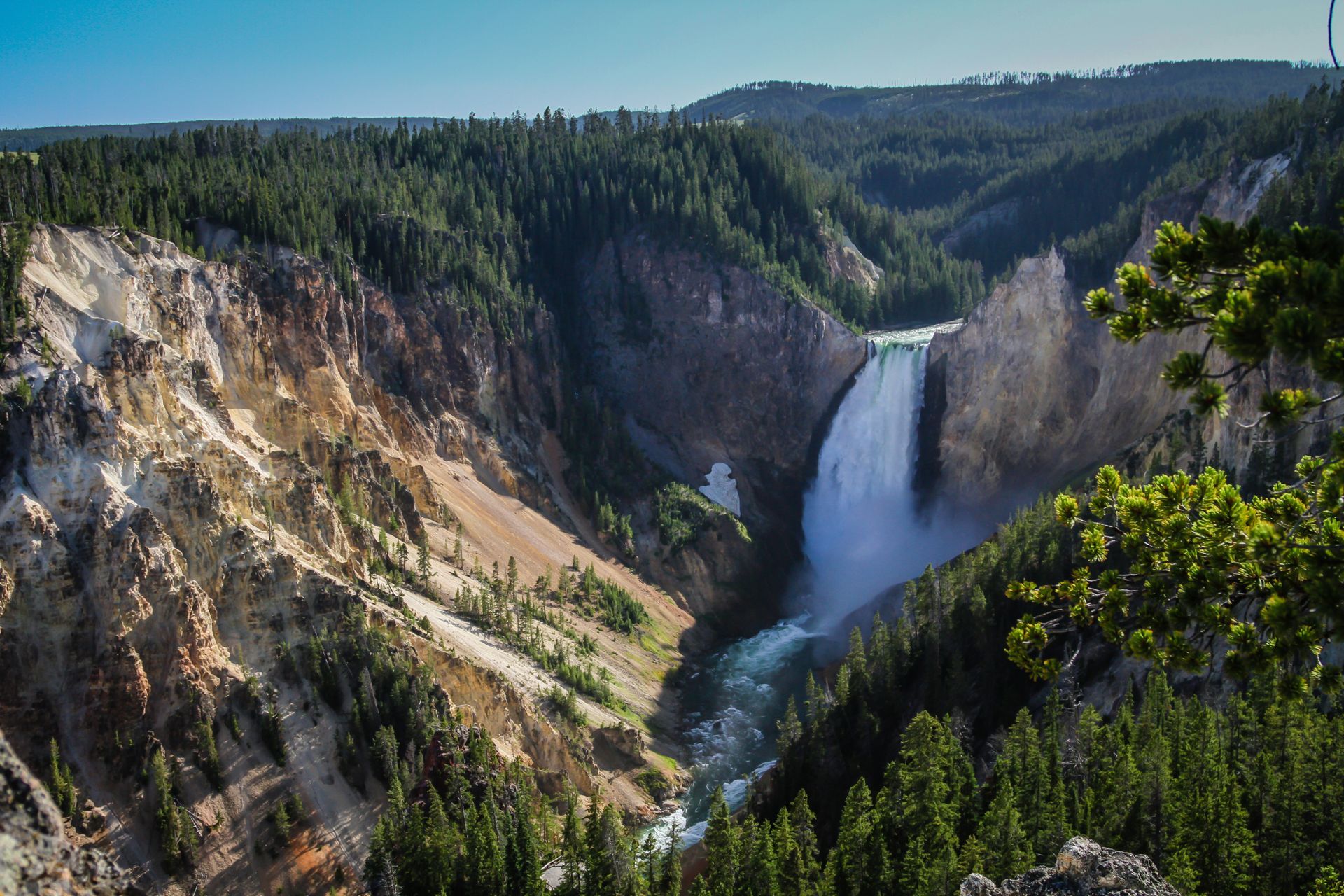 The powerful Yellowstone River plunges over the Lower Falls on its journey through the Grand Canyon of the Yellowstone.