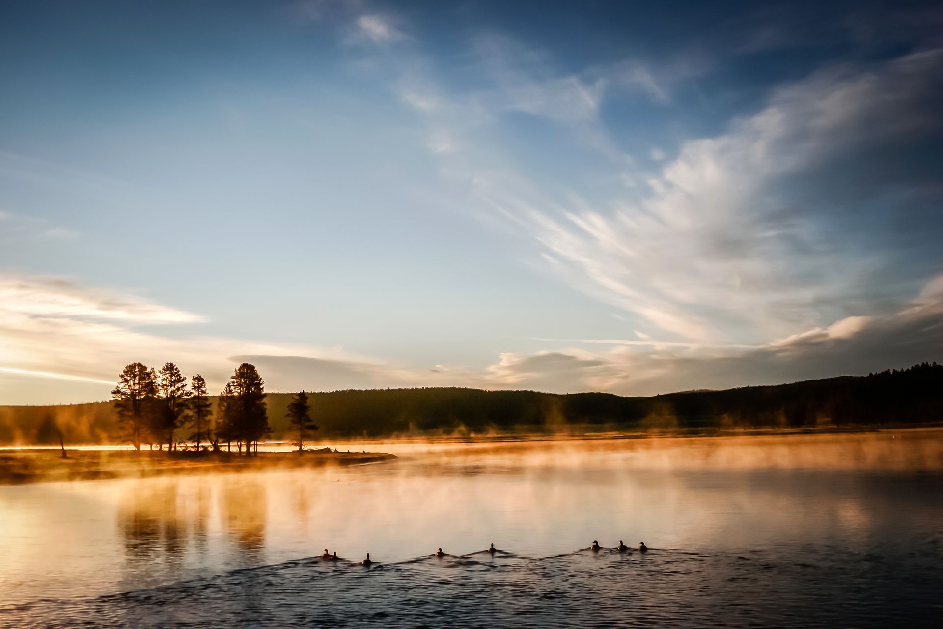 Waterfowl enjoy a crisp and cool morning on the Yellowstone River.