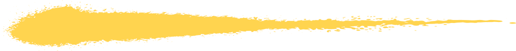 Yellow paint brush stroke across a white background | Cruz-N-Carz