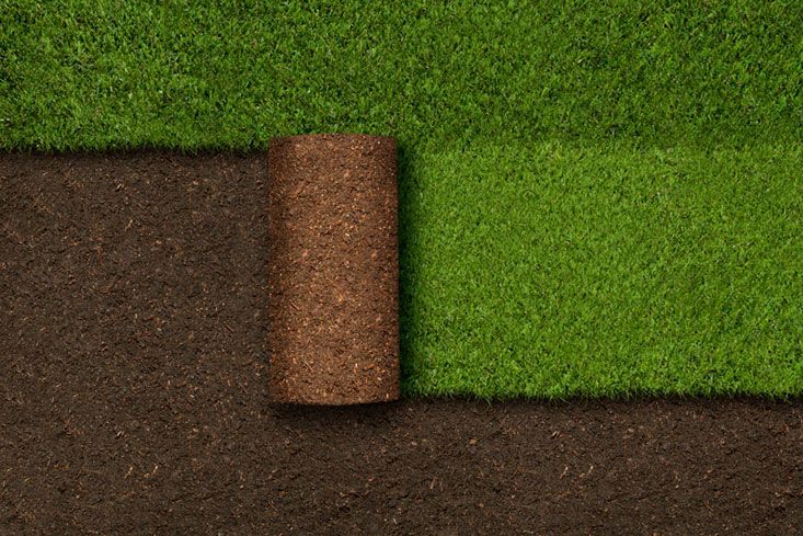 INDUSTRIAS SIMHER - VENTA DE PASTO