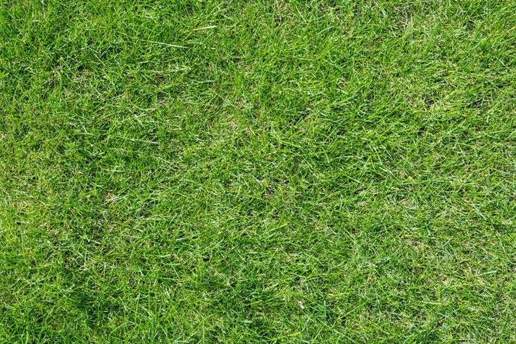 INDUSTRIAS SIMHER - PASTO SINTETICO