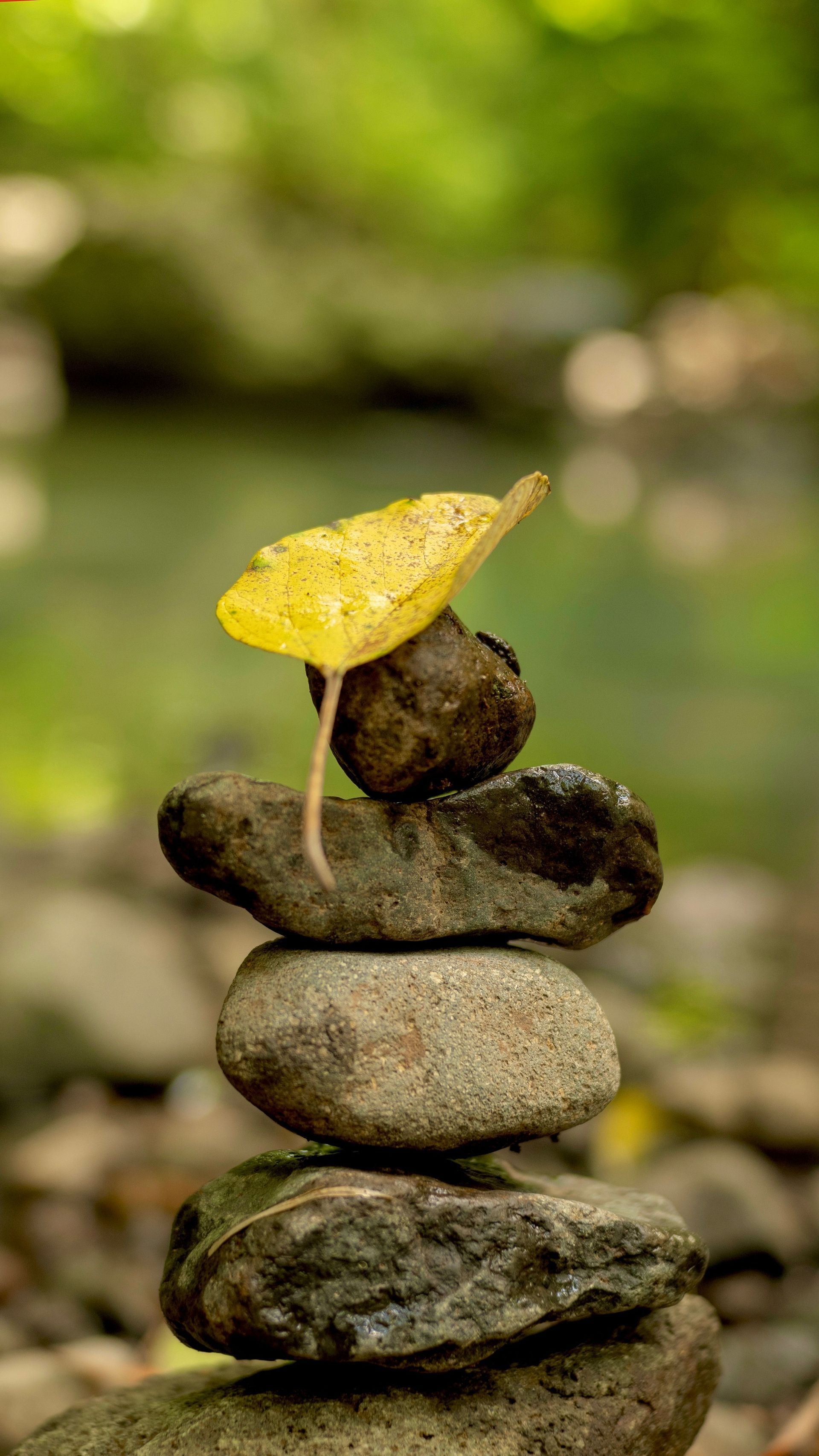 Stacked stones with a yellow leaf balancing on top, against a blurred green background
