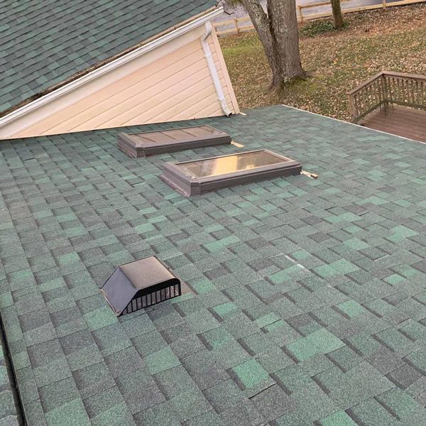 green roof shingles