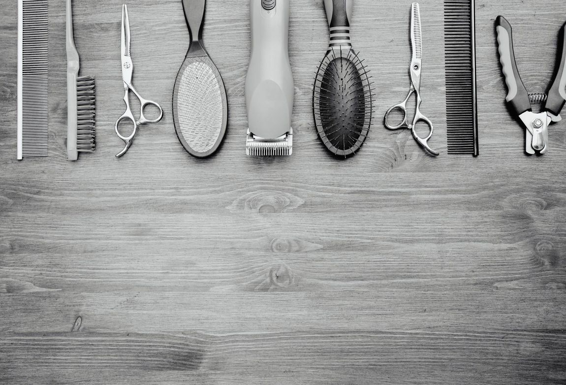 dog with grooming tools