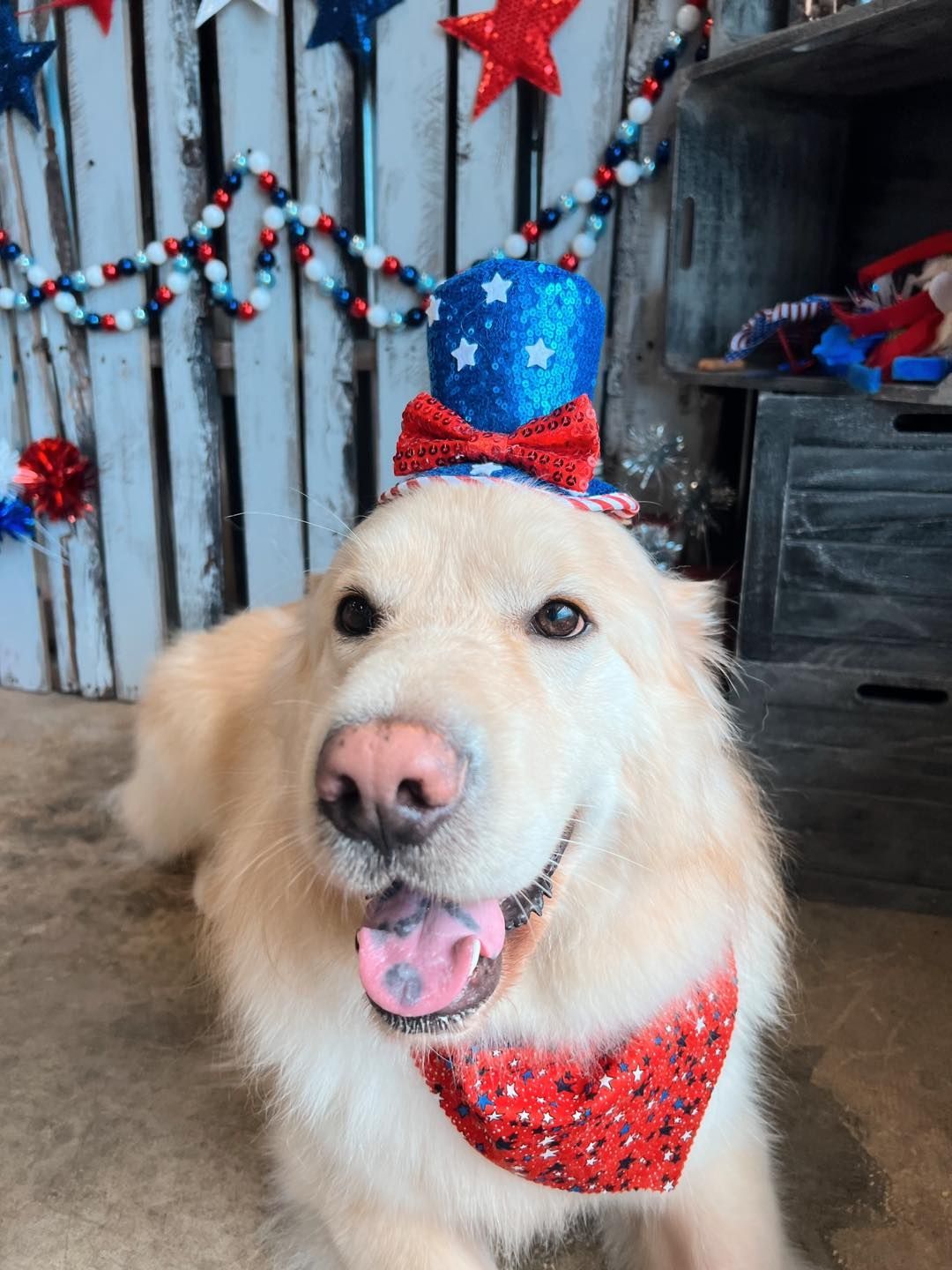 Golden retriever wearing a festive hat, bow tie, and bandana with a red, white, and blue theme.