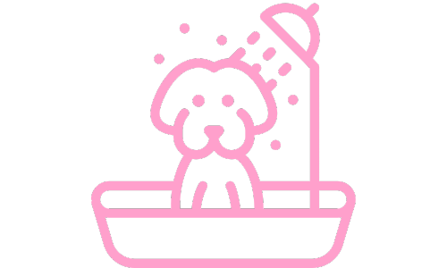 dog in shower icon