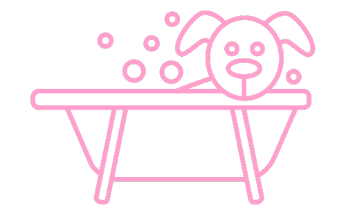 dog bath icon