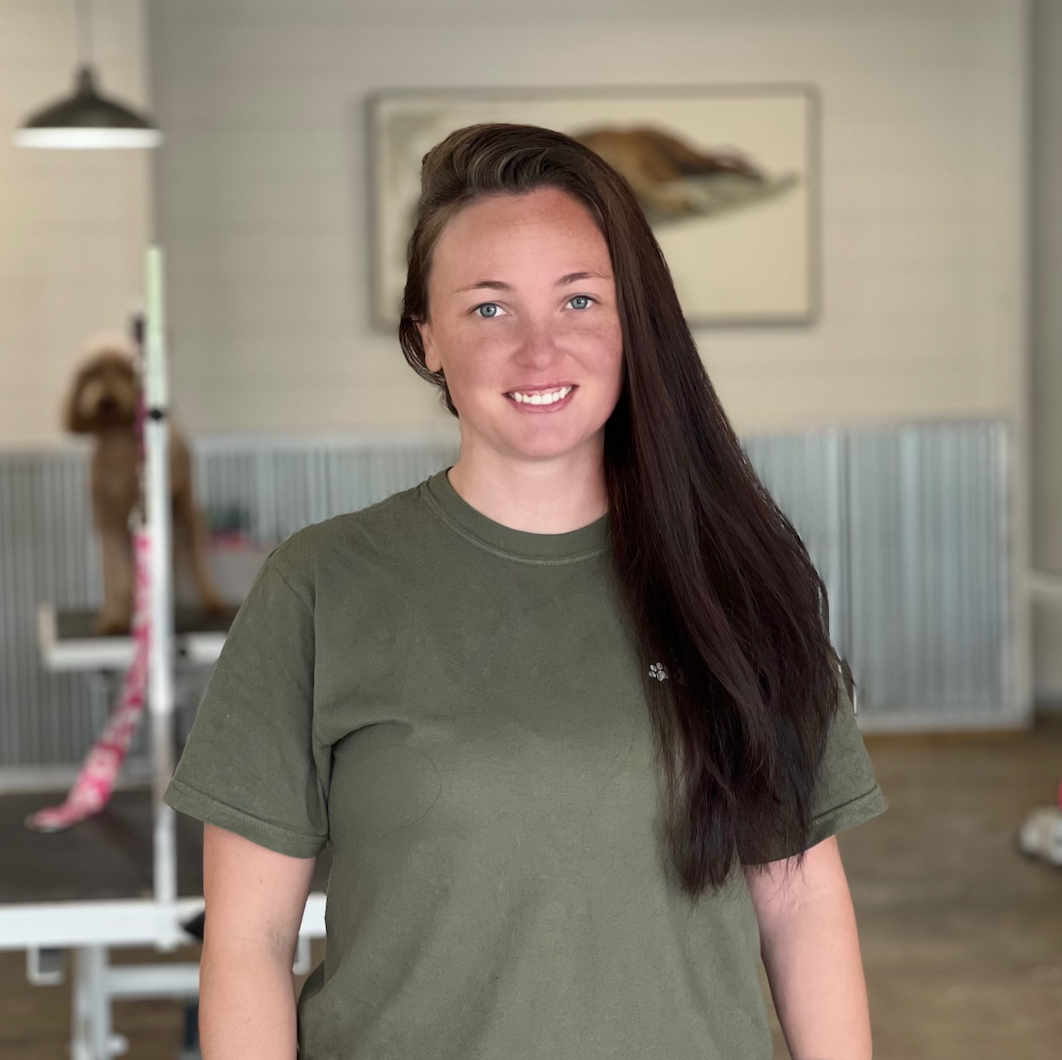 About Southern Paws Best Dog Groomers in Ringgold GA