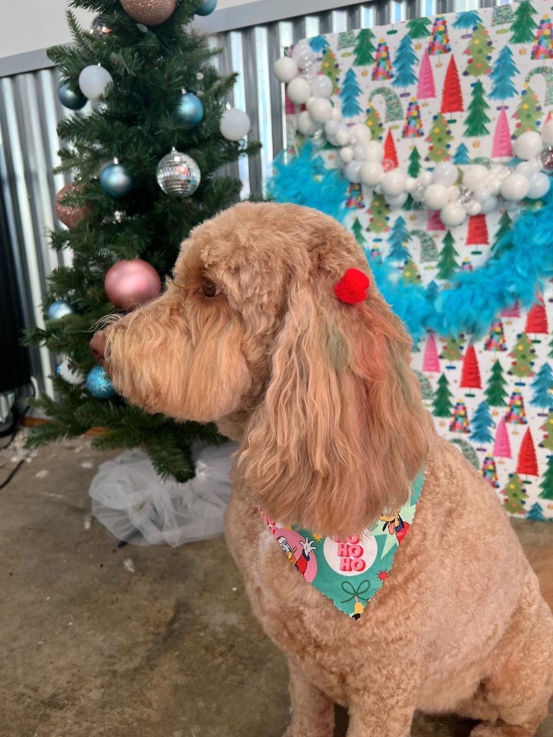 A light brown dog wearing a festive bandana sits near a decorated Christmas tree.