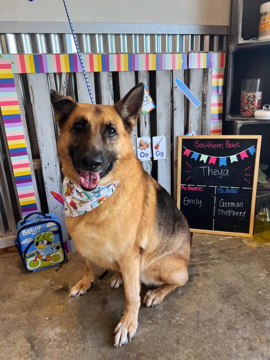 German Shepherd dog wearing a bandana, sitting with a happy expression, near a sign.