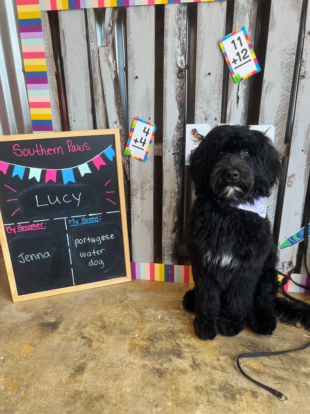 Black dog sitting next to a chalkboard with its name, 