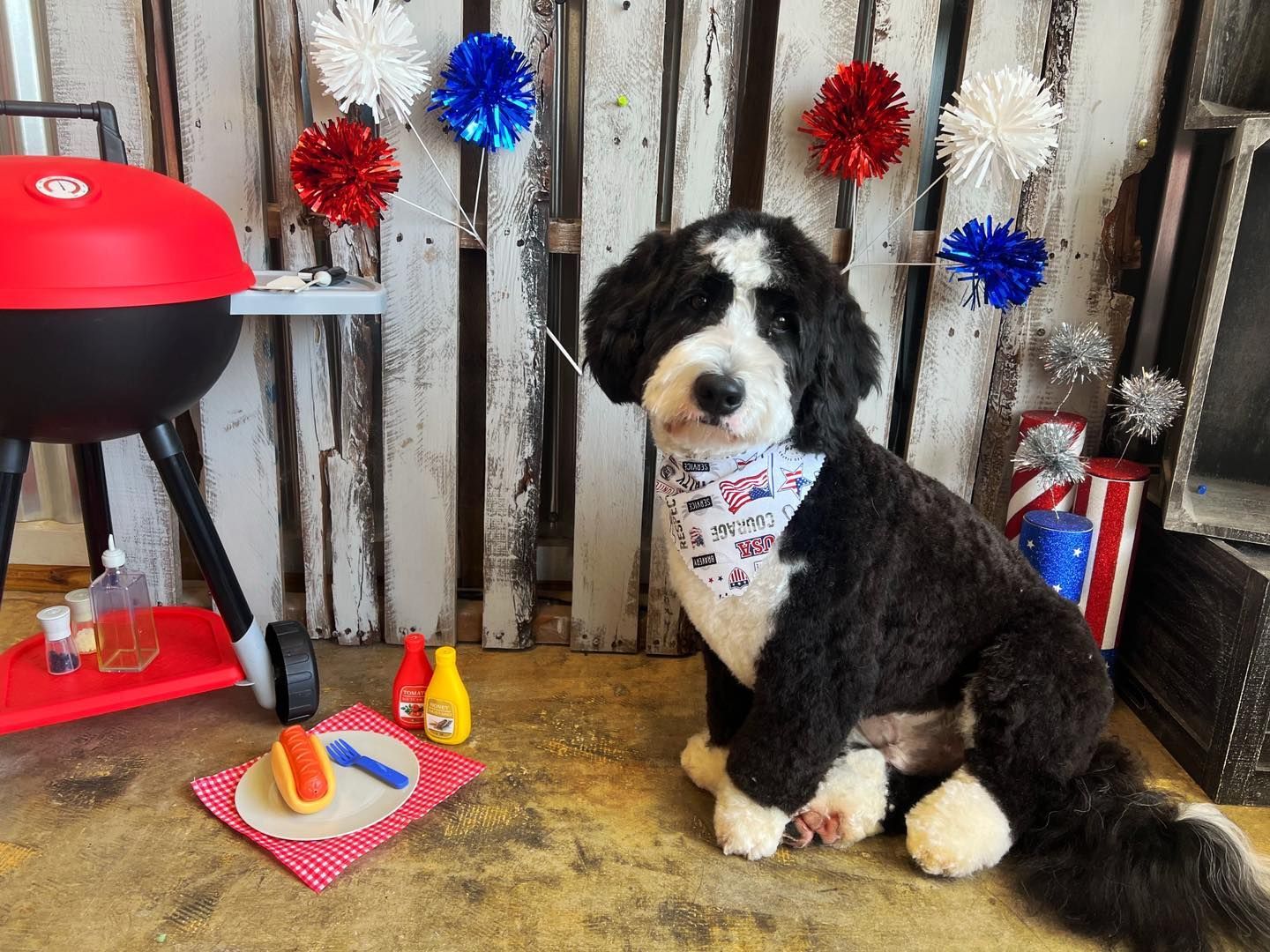 A black and white dog wearing a bandana sits by a grill and picnic items; patriotic decorations in background.