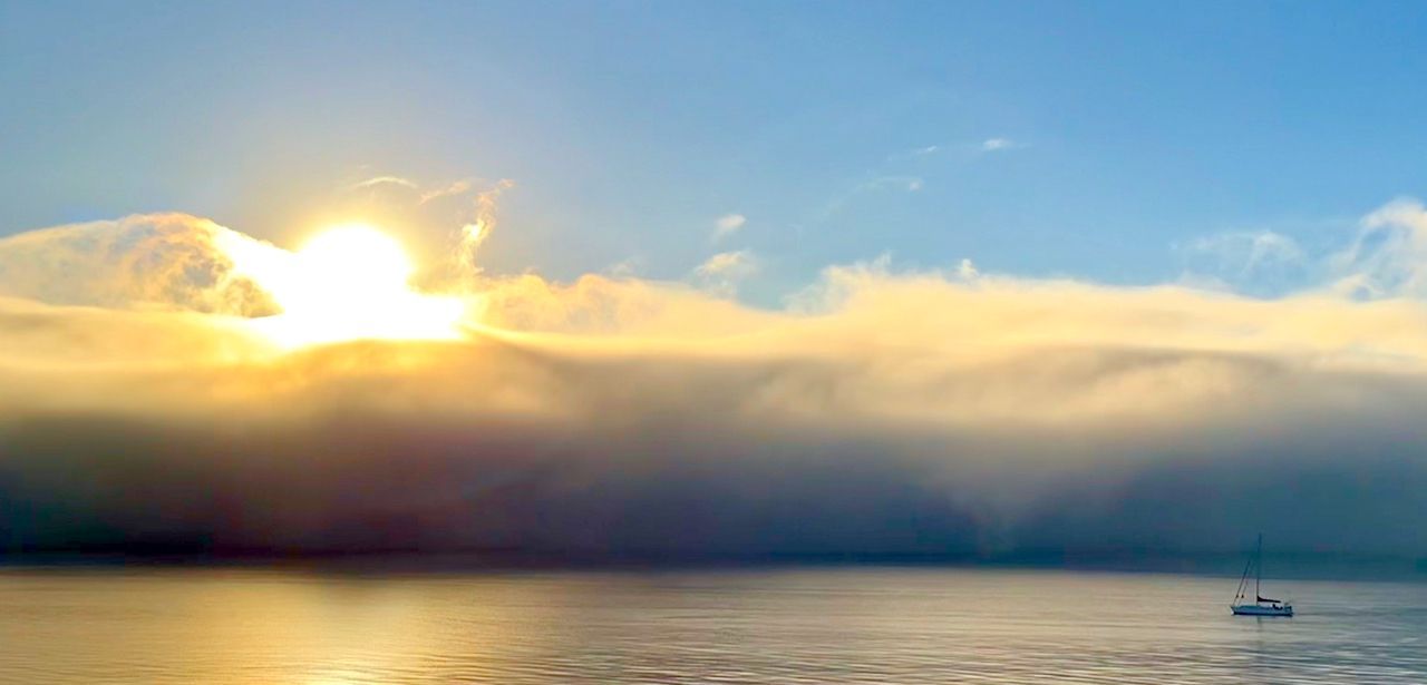 Awaken the mind and heart through psychotherapy