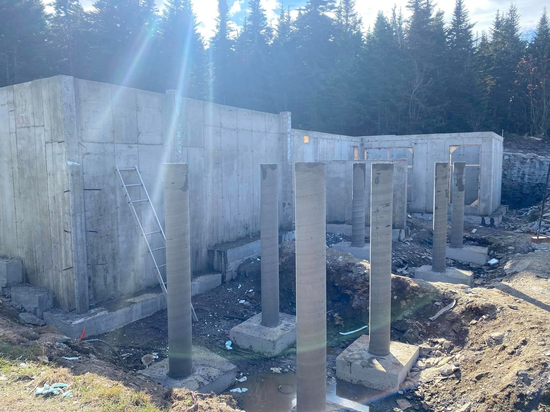 Un mur de béton est en train d'être construit au milieu d'une forêt.