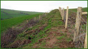 Argricultural fencing in a field